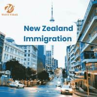 Wave Visas  Professional Visa and newzealand immigration Support